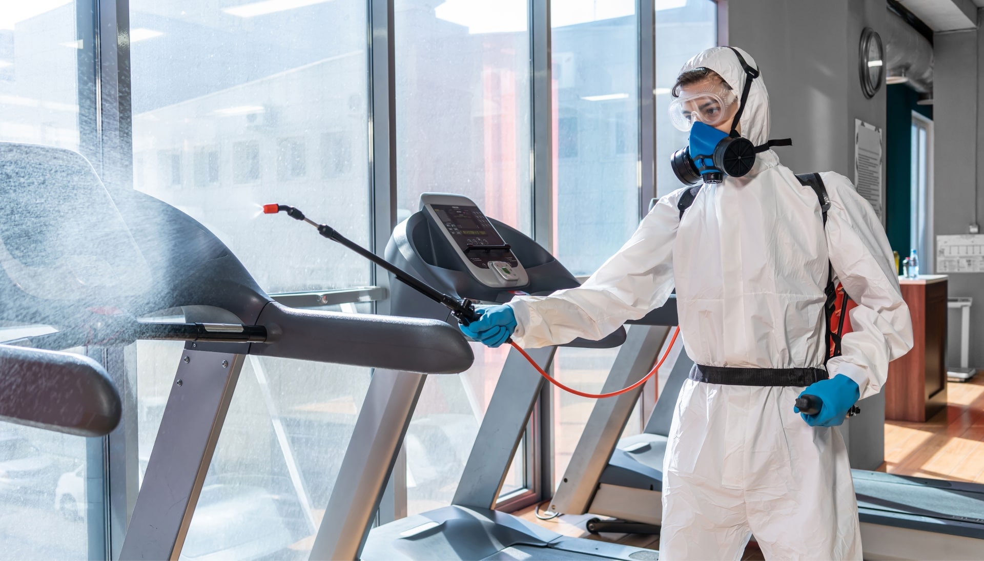 Commercial Mold Removal Services in Queens