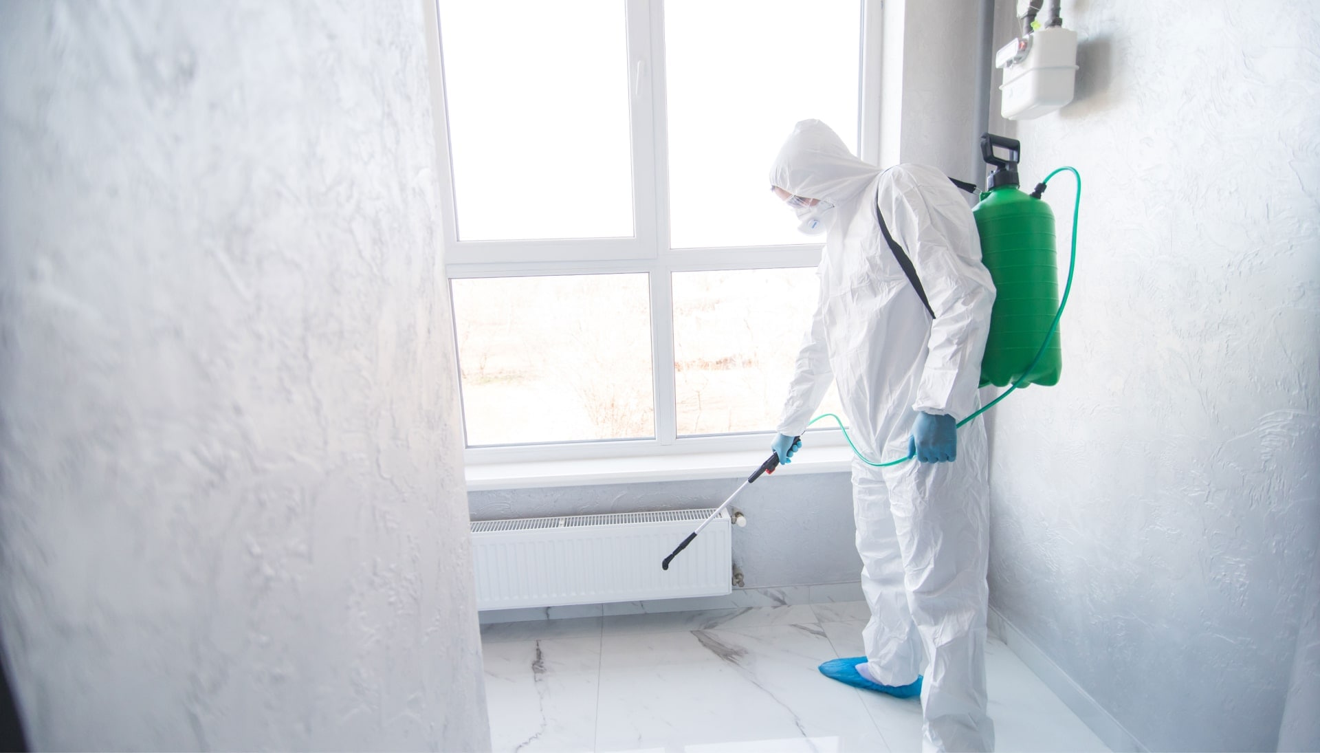 Mold Inspection Services in Queens